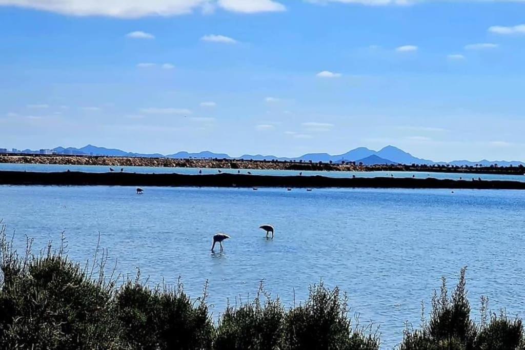 Agreable Appartement Avec Piscine Commune San Pedro del Pinatar Eksteriør bilde